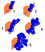 5 steps to floral bow