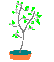 drawing of tree