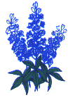 Bluebonnet logo