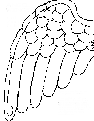 Wing