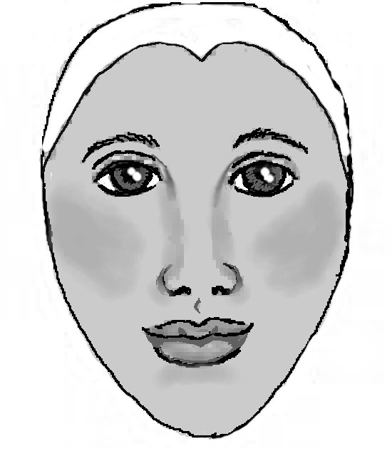 Diagram for the face