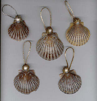Sea Shell Angels
