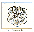 Diagram B